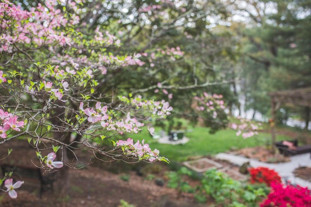 مبيت وإفطار آشفيل The Applewood Manor المظهر الخارجي الصورة